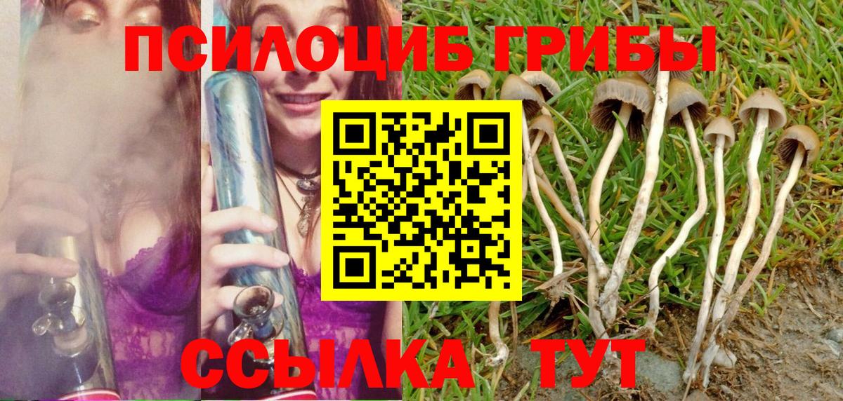 Семёнов  Галлюциногенные грибы Cubensis  Вход с VPN 